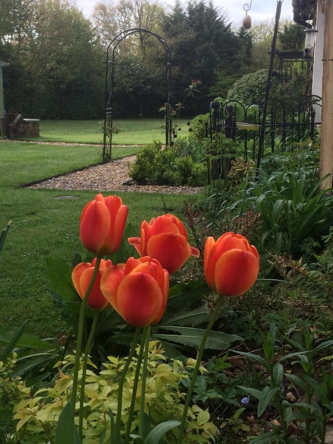 Woodacre B & B Arundel Kültér fotó